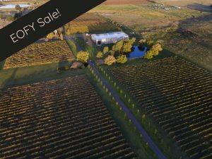 Witchmount Estate Winery - EOFY Sale